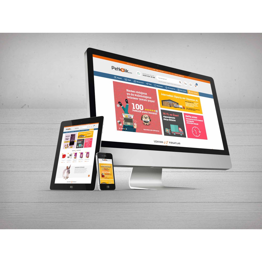 Web Tasarım Ürünleri